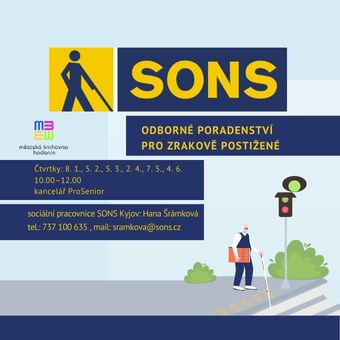 Odborné poradenství 